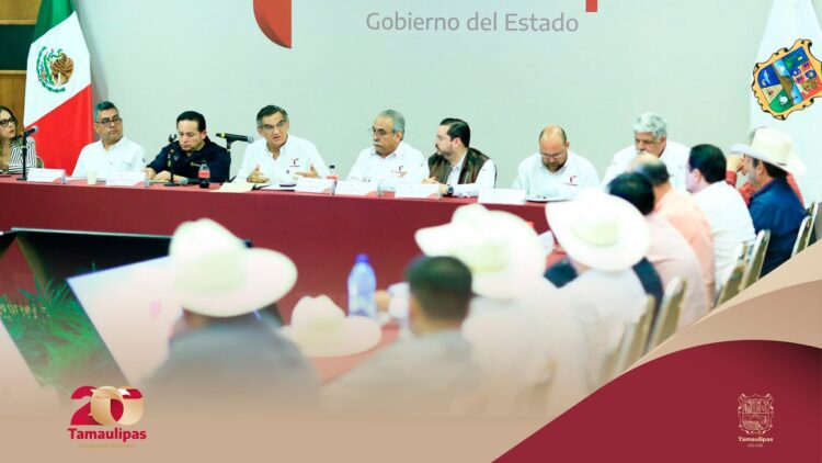 Policías no deben acosar a propietarios de autos americanos; estamos en DECRETO
