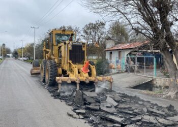 Más de 3 mil lámparas se han reemplazado en el año actual