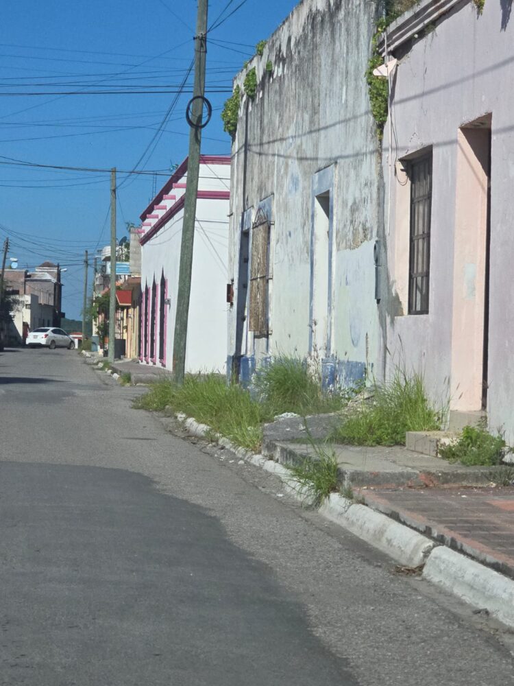 Monte se apodera de la zona centro de San Fernando