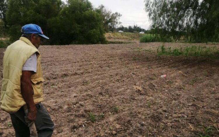 El campo está inmerso en una grave crisis sin soluciones a la vista