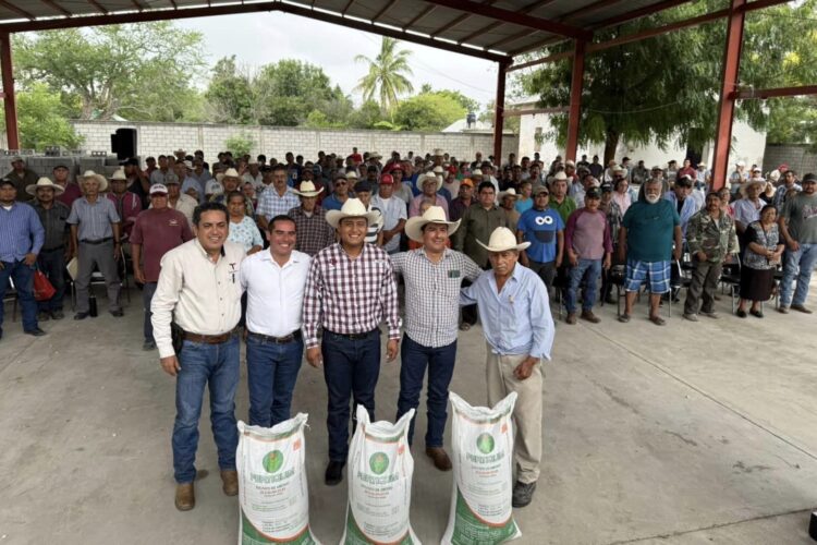 Productores citrícolas del municipio de Llera reciben 85 toneladas de fertilizante