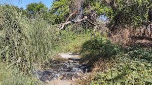 Cuesta cara limpieza de los terrenos urbanos llenos de monte