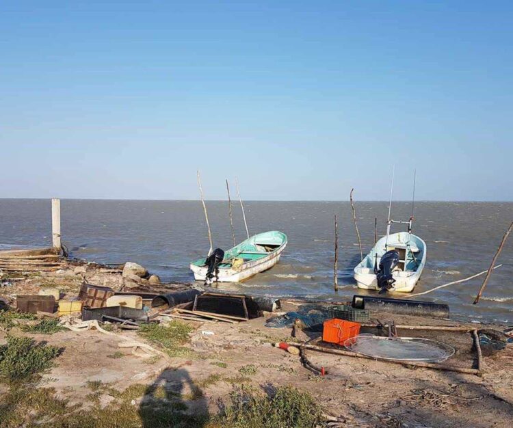 En vigor veda de Lisa en la laguna madre sin complicaciones