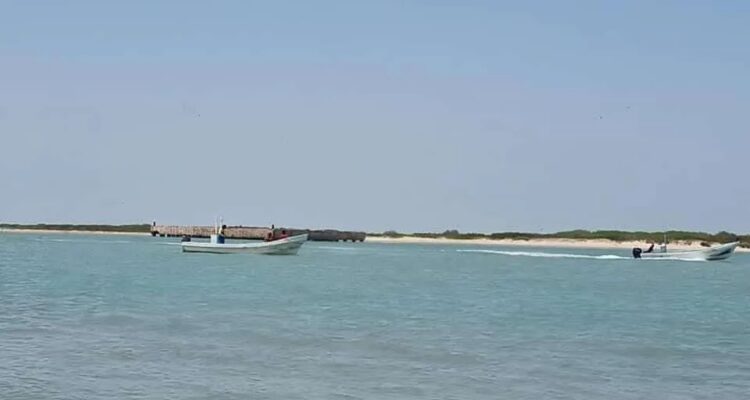 Barras azolvadas, sin apoyos y falta de créditos “ahogan” a los pescadores