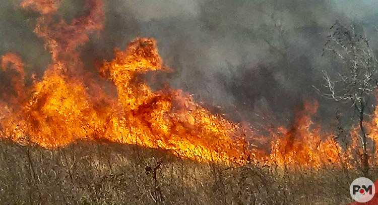 Violentos vientos intensifican propagación de incendios