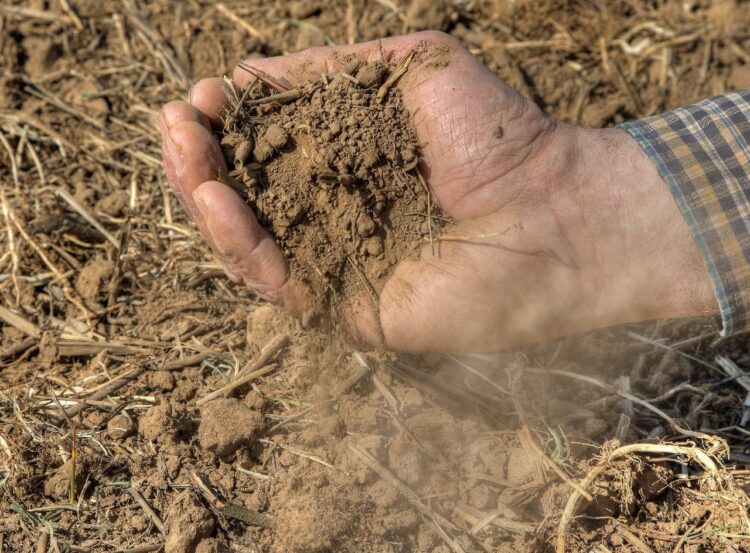 Cae la producción agropecuaria por segundo año consecutivo