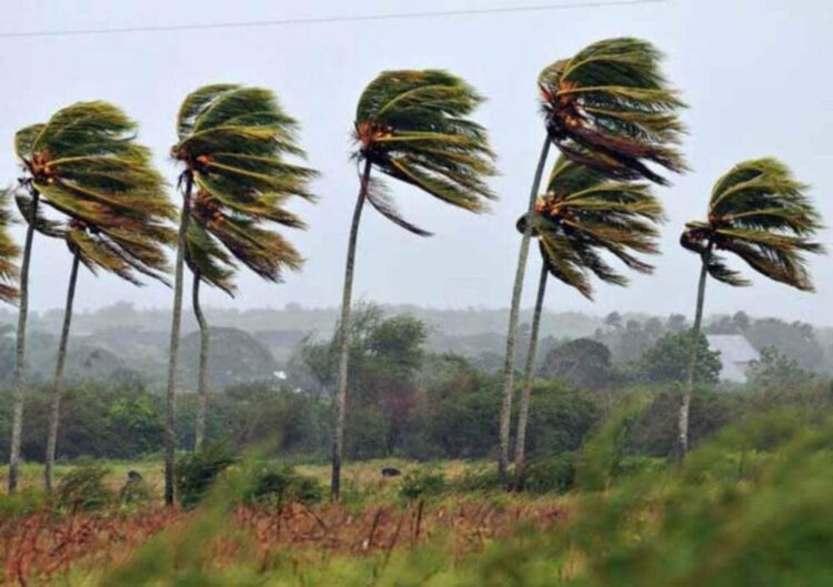 Fuertes vientos dejaron sin electricidad a miles de familias en plena tormenta invernal