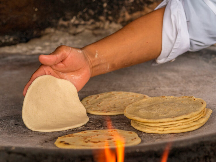 Tortillas en riesgo de ser elaboradas con maíz transgénico
