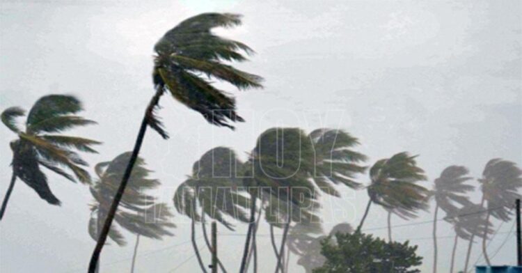 Vienen dos frentes fríos consecutivos; a partir de mañana bajará la temperatura