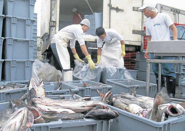 Empacadoras de mariscos una alternativa en campos pesqueros de la laguna madre