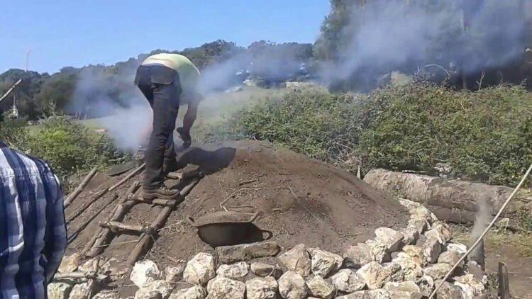 Elaboración de carbón vegetal cumple con las normas en San Fernando y la región