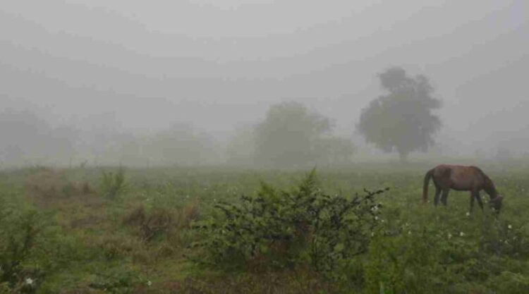 Pronostican lluvias en San Fernando para la próxima semana