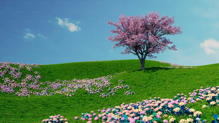 Ya viene la primavera… ¡con temperaturas de pronóstico!