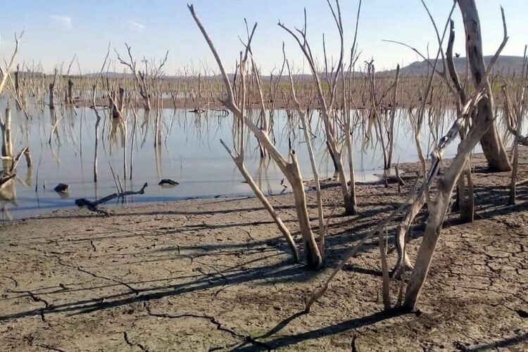 UNA TRAS…Tendrá Tamaulipas primer gobernadora