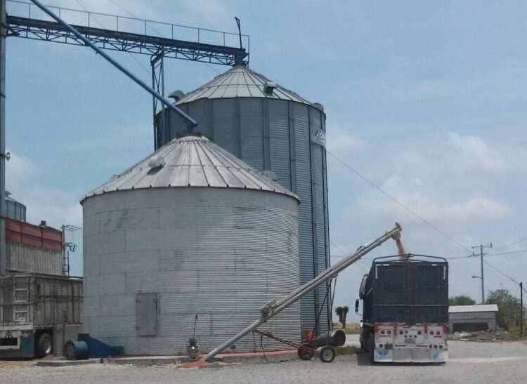 Resienten productores fuertes descuentos en compras de sorgo