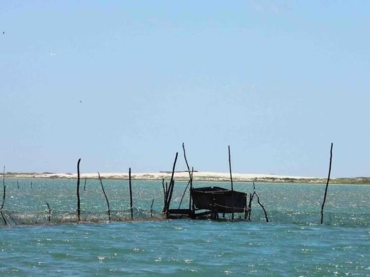 Pescadores se preparan para enfrentar la veda de camarón