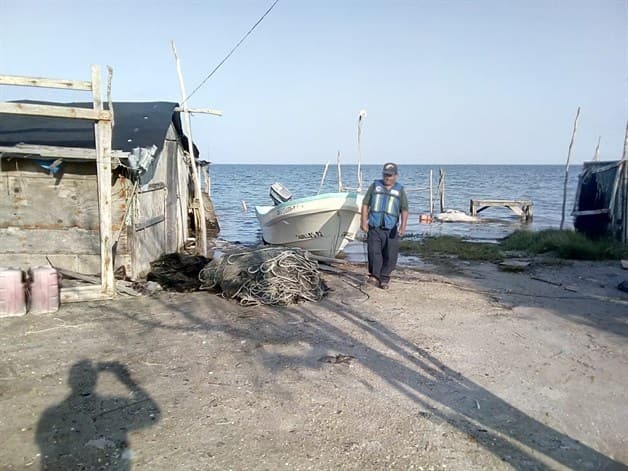 Sugieren pescadores empleo temporal para mitigar veda de camarón
