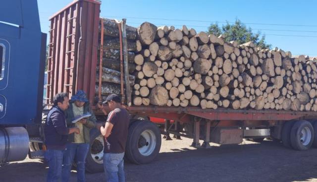 Cuida PROFEPA que no se realicen atentados contra el medio ambiente