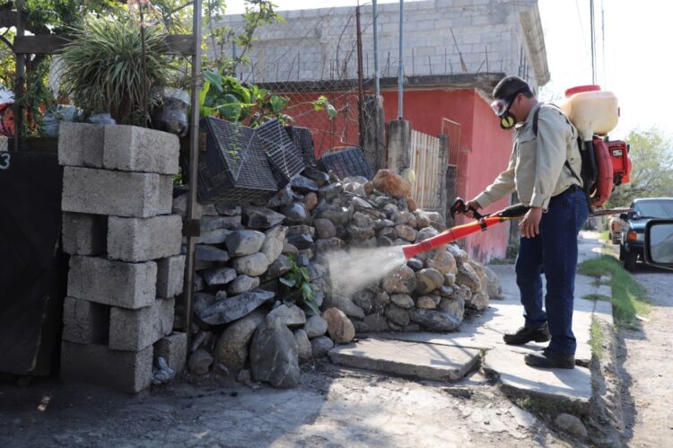 Tras las lluvias urgen acciones de combate a los zancudos