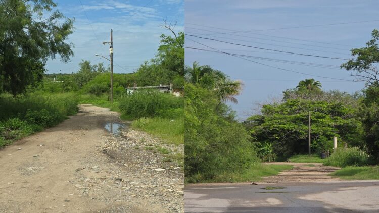 “Camellones vegetales” se tragan calles de San Fernando