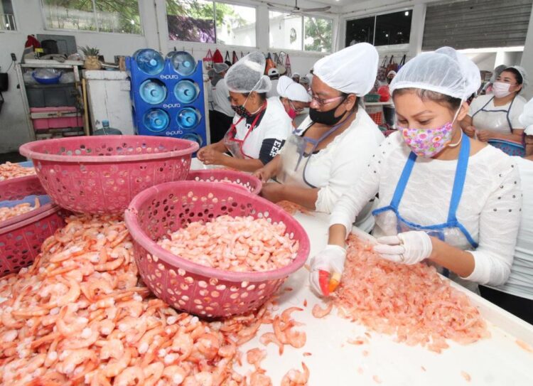Electricidad; inconveniente para procesadoras de mariscos en campos pesqueros