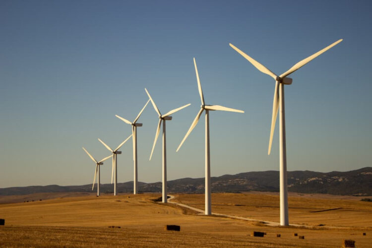 Mitad de la energía del país mediante nuevos parques eólicos estará en Tamaulipas