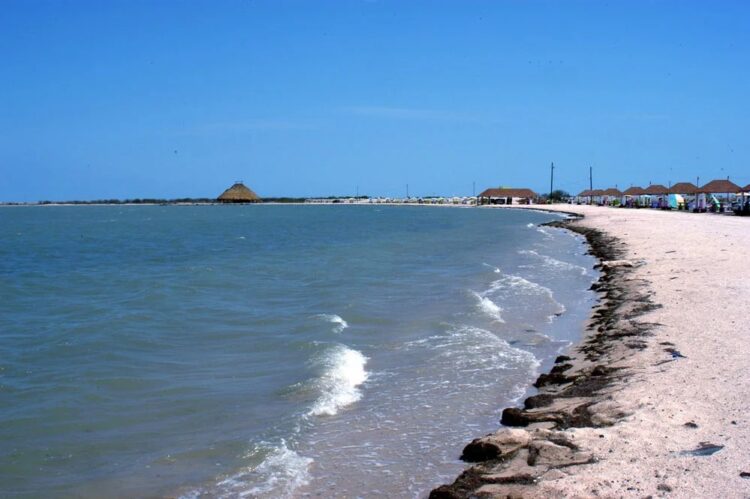 San Fernando tiene en la laguna madre una riqueza natural por explotar