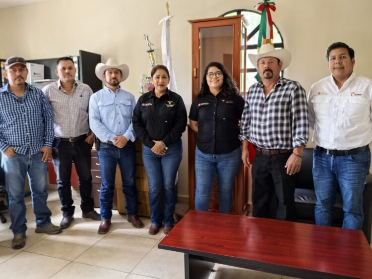 Recorre SEDENER municipios para concretar la electrificación al 100%