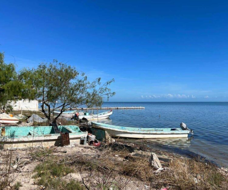 Cerca de terminar veda de Lisa en laguna madre, sin problemas