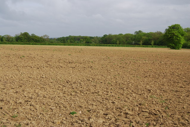 Calculan que crecerá demasiado superficie agrícola improductiva en San Fernando
