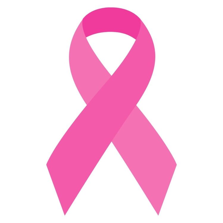 A TAMBOR BATIENTE/ EL MOÑO ROSA