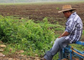 A TAMBOR BATIENTE: PRODUCTORES APÁTICOS, SON ENEMIGOS DE SUS COMPAÑEROS