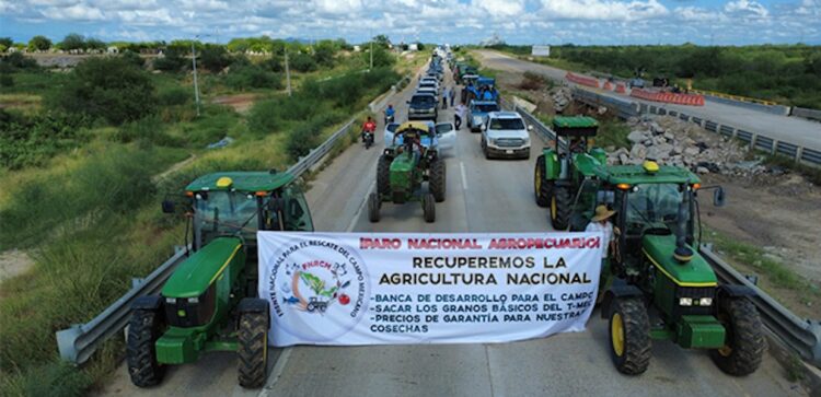 T E C L A Z O S/¿TENDRÁ QUE IRSE ERASMO DE MADERO?