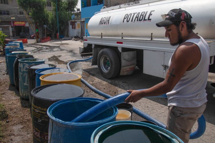 Clima fresco baja venta de piperos en San Fernando