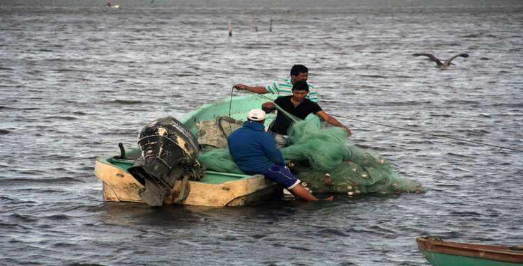 Piden a pescadores de laguna madre no exponer su vida ante vientos arrachados