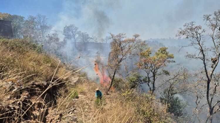 Incendios son provocados por personas descuidadas