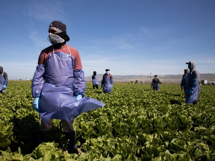 La Administración Trump reduce de 5 años a 18 meses la duración de los permisos de trabajo de solicitantes de asilo y refugiados