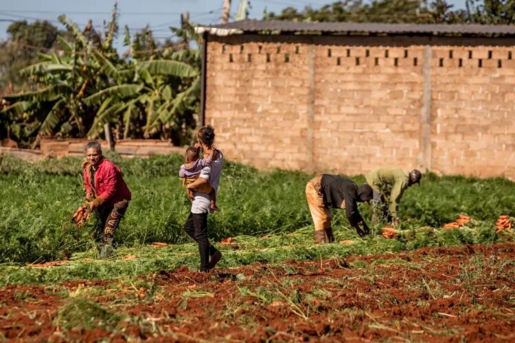 Cuba libra batalla contra desabasto alimentario