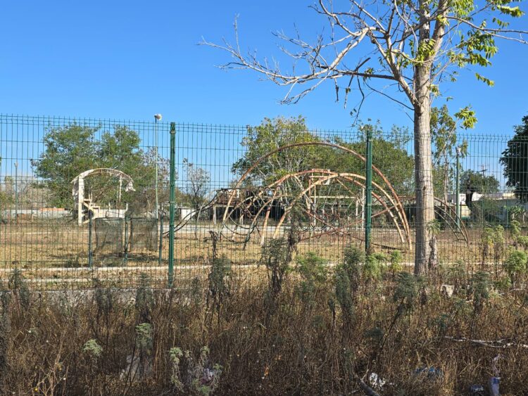 Los Tamules de San Fernando, un monumento a la apatía institucional