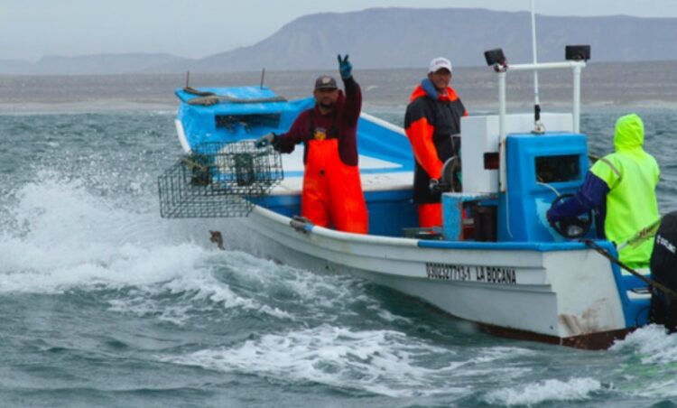 Hay veda en la laguna madre y los pescadores están sin apoyos
