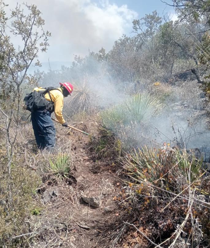 Continúan labores para el control y liquidación de incendio forestal en ...