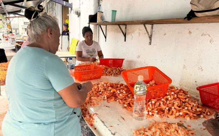 “Despicadoras” de camarón esperan que la temporada sea buena