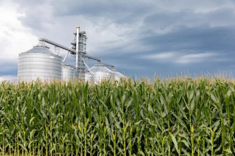Tamaulipas alista su primera planta de producción de etanol con apoyo estatal y privado