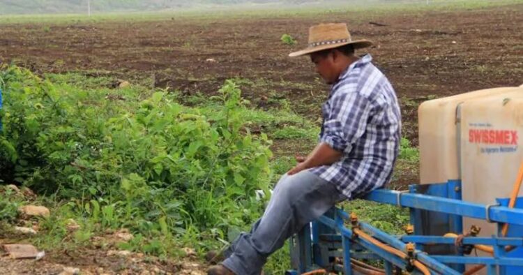 T E C L A Z O S/PONE EL EJEMPLO ALCALDE DE MATAMOROS, BETO GRANADOS