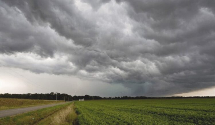 Anuncian lluvias el próximo domingo para San Fernando