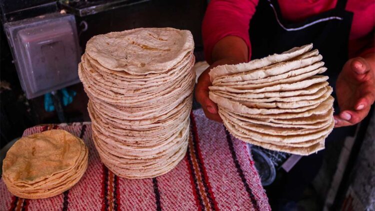 Amaga sector tortillero con alza hasta de $4 por kilo