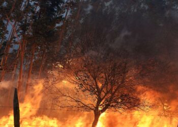 Incendios suceden por descuido o irresponsabilidad; hay que evitarlos