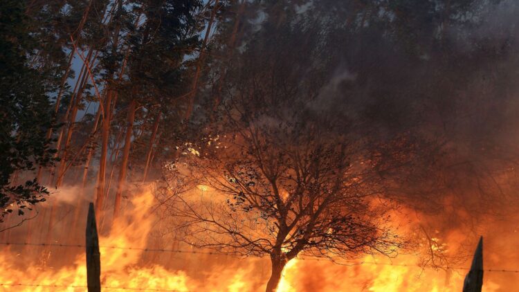 Incendios suceden por descuido o irresponsabilidad; hay que evitarlos