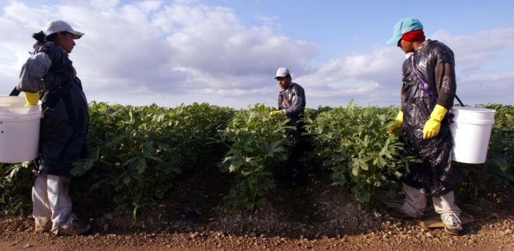 Migrantes mexicanos en EU constituyen la octava economía mundial