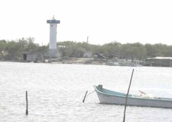 Veda de camarón afectará a más de seis mil familias